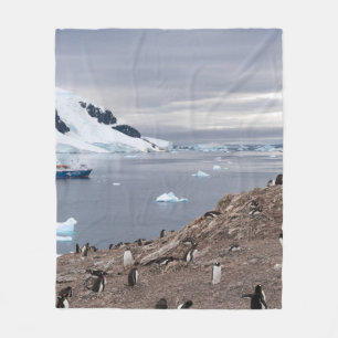 COUVERTURE POLAIRE PENGUINS BESEIN