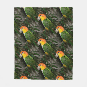 Couverture Polaire Perroquet caïque à ventre blanc avec bambou