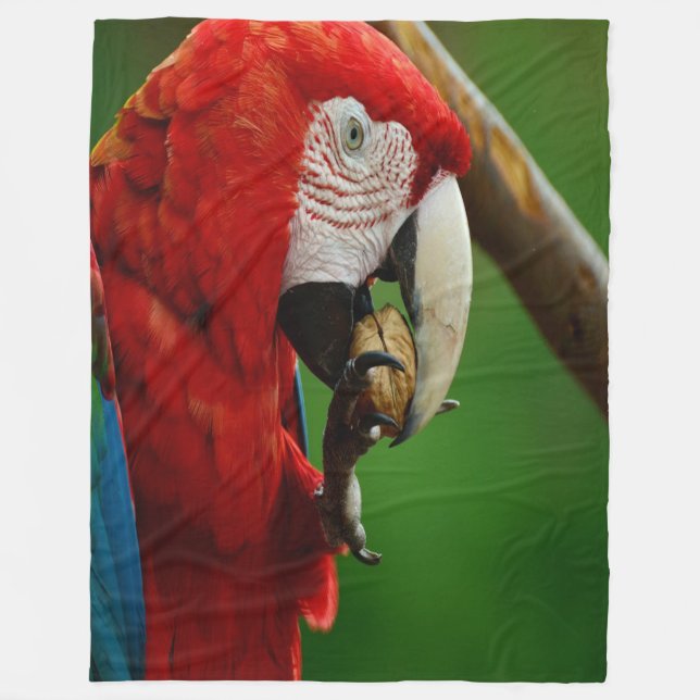 Couverture Polaire Perroquet rouge tropical (Devant)