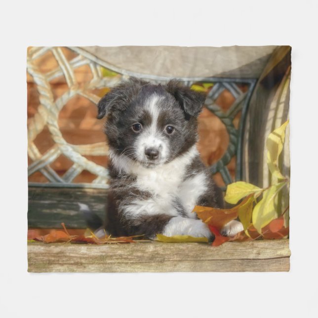 Couverture Polaire Petit Chien Chien Chien Mignonne Mini Aussie Chien (Devant (Horizontal))