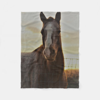 Couverture Polaire Petit jet de cheval d'ouatine