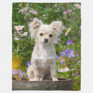 Couverture Polaire Photo aux cheveux longs mignonne de chiot de chien