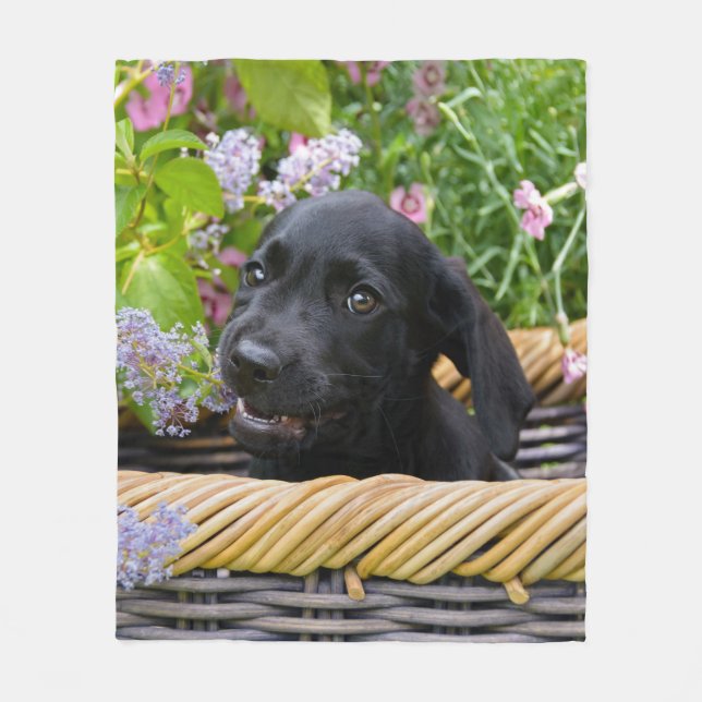 Couverture Polaire Photo de Chien Chien Chien Puppy de Cute Black Lab (Devant)