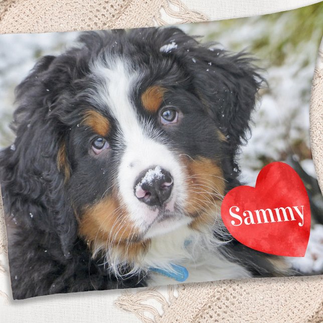 Couverture Polaire Photo pour animaux de compagnie chic moderne Amour (Créateur téléchargé)