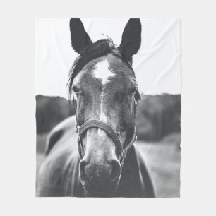 COUVERTURE POLAIRE PHOTOGRAPHIE À L'ÉCHELLE GRAYSQUE DU CHEVAL