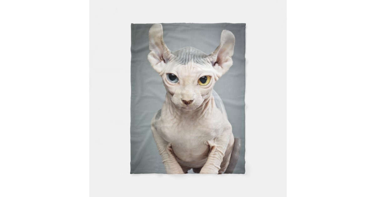 Couverture Polaire Photographie De Chat De Sphinx D Elf Zazzle Fr