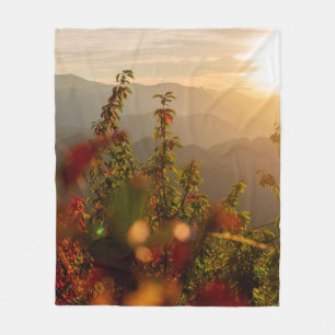Couverture Polaire Photographie de nature d'arbres verts surplombant