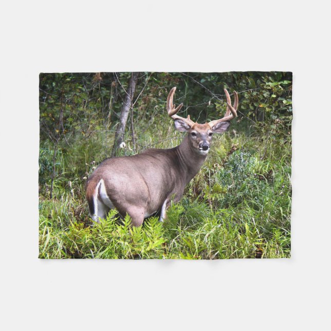Couverture Polaire Photographie de Whitetail Buck (Devant (Horizontal))
