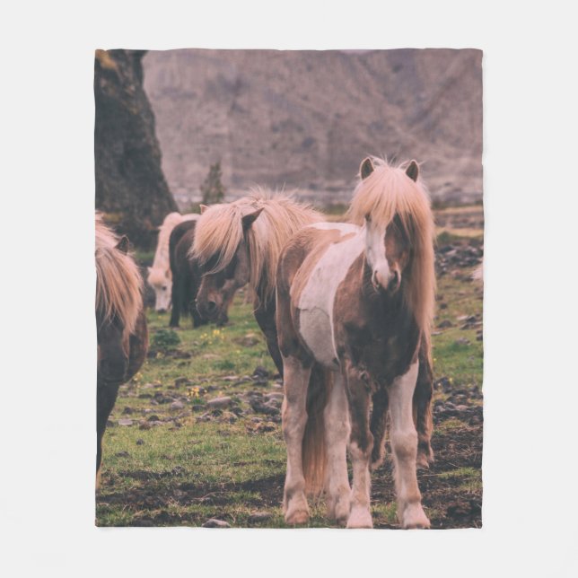 COUVERTURE POLAIRE PHOTOGRAPHIE DES CHEVAUX À FAIBLE INFLUENCE (Devant)
