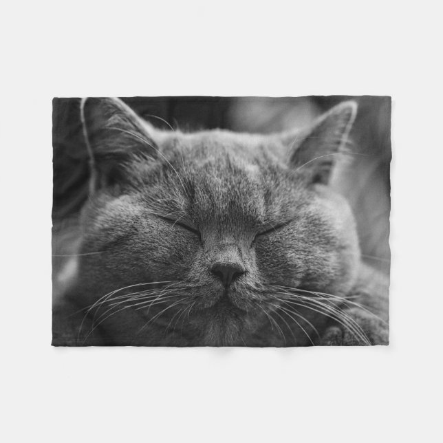 Couverture Polaire Photographie du visage de chat endormi (Devant (Horizontal))