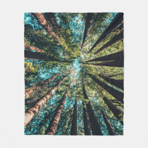 Couverture Polaire Photographie en angle bas des arbres en journée
