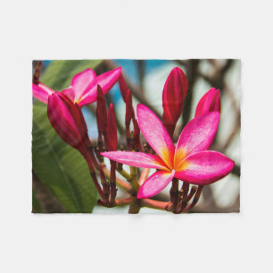 Couverture Polaire Plumeria arrière - plan de fleurs exotiques