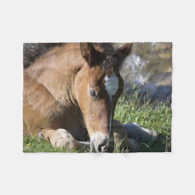 Couverture Polaire Poney Sauvage au Repos (Devant (Horizontal))