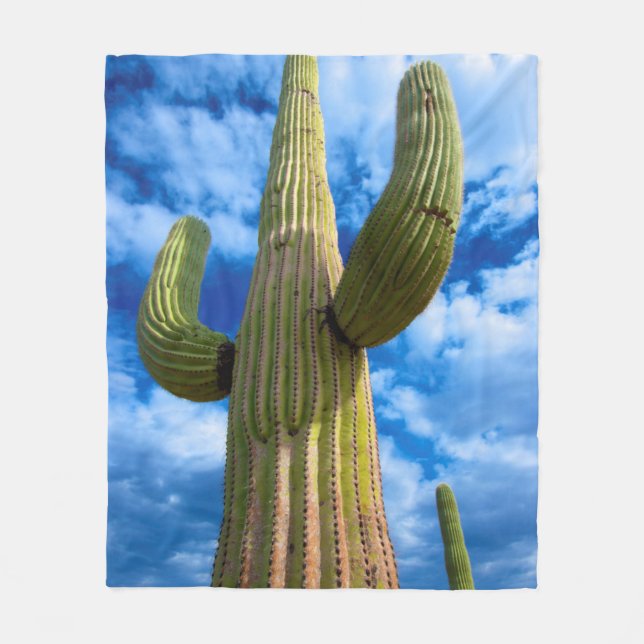 Couverture Polaire Portrait de cactus Saguaro, Arizona (Devant)