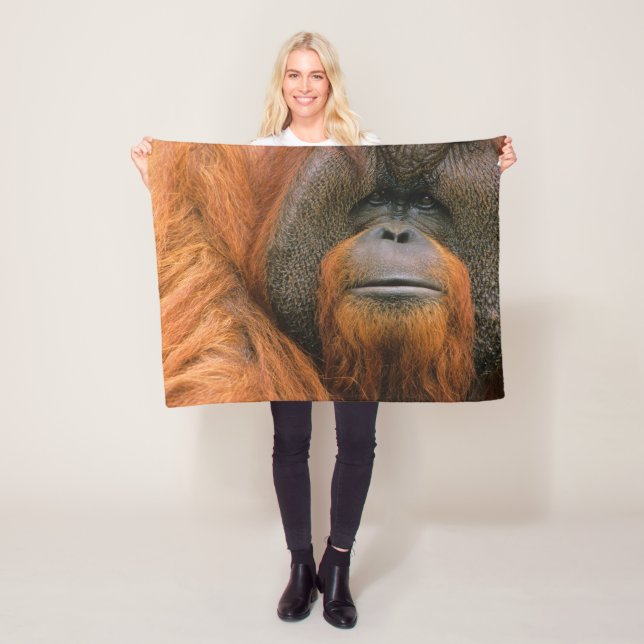 Couverture Polaire Portrait de mâle orang-outan, Géorgie, États-Unis (En situation)