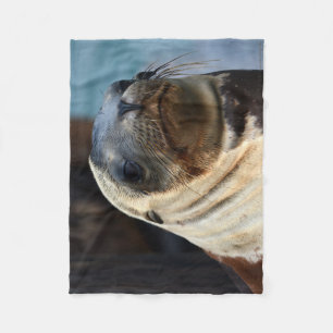 Couverture Polaire Portrait du lion de mer