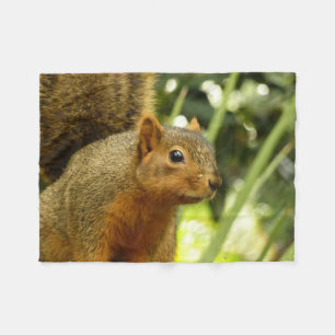 Couverture Polaire Portrait d'un écureuil Photographie d'animal de na