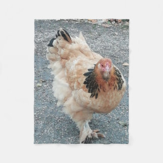 Couverture Polaire Poulet de Brahma prenant une balade