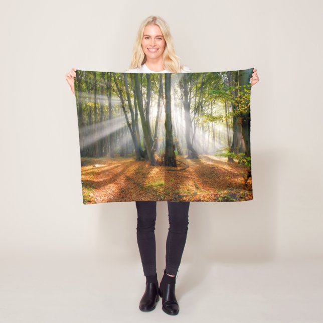 Couverture Polaire Poutres de soleil dans une forêt de hêtres brumeux (En situation)