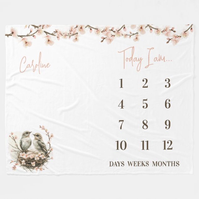 Couverture Polaire Prêt pour Hatch ! Bébé Bébé Jalon mignon Oiseaux (Devant (Horizontal))