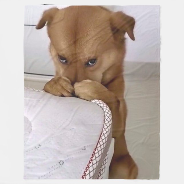 COUVERTURE POLAIRE PRIÈRE DE CHIEN (Devant)