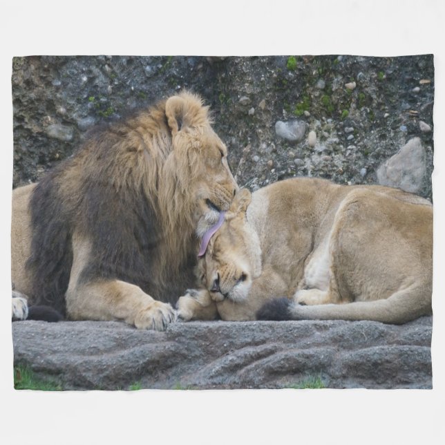 Couverture Polaire Puissant amour Lion (Devant (Horizontal))