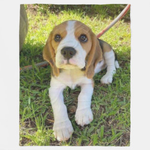 COUVERTURE POLAIRE PUP BEAGLE