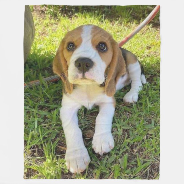 COUVERTURE POLAIRE PUP BEAGLE (Devant)
