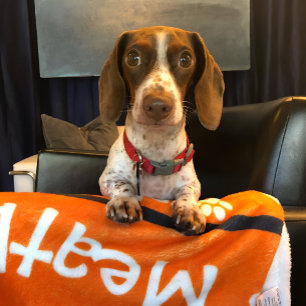 Couverture Polaire Puppy Chien Empreinte de patte Blanket Ajouter Dog