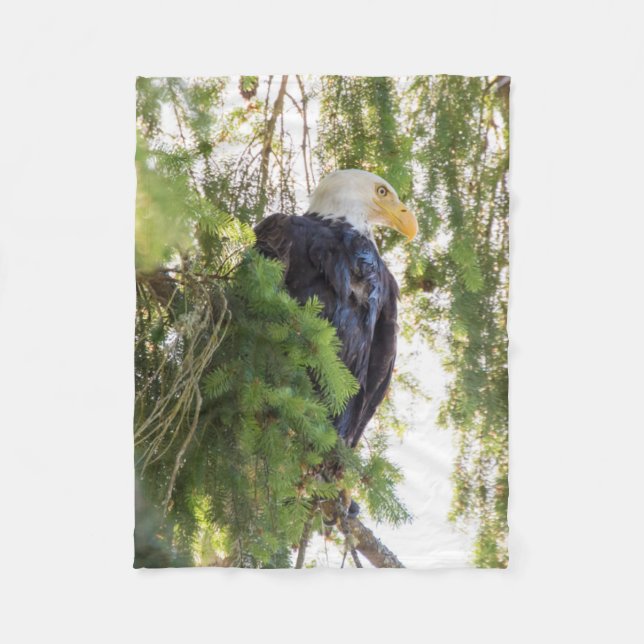Couverture Polaire Pygargue à tête blanche perché dans un sapin de Do (Devant)
