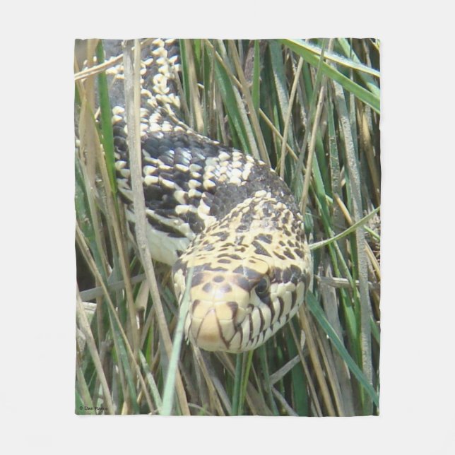 Couverture Polaire R4 Couleuvre gophère dans l'herbe (Devant)
