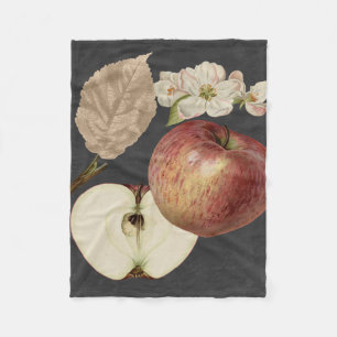 Couverture Polaire Récolte de minuit II