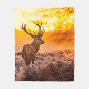 Couverture Polaire Red Deer in Morning Sun, cerf, animal, faune, natu