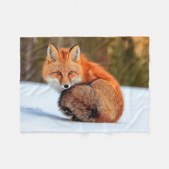 Couverture Polaire Renard Rouge En Neige | Yukon (Devant (Horizontal))
