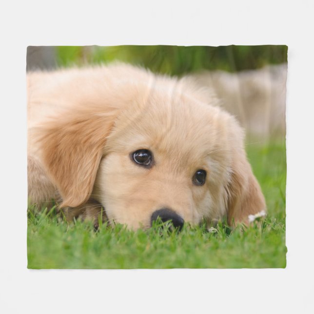 Couverture Polaire Rêver mignon de chiot de golden retriever, (Devant (Horizontal))