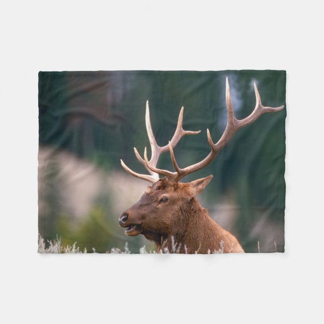 Couverture Polaire Rocky Mountain Elk Parc national de Yellowstone (Devant (Horizontal))
