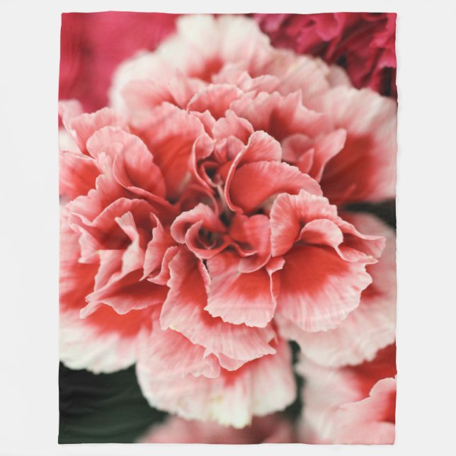 Couverture Polaire Romance (Devant)
