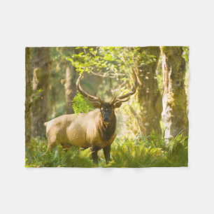 Couverture Polaire Roosevelt Elk Parc National Olympique, Washingto