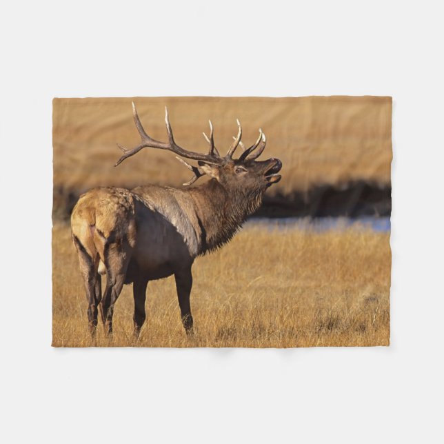 Couverture Polaire Roosevelt Eull Elk Wyoming (Devant (Horizontal))