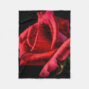 Couverture Polaire Rose rouge contre Arrière - plan noir