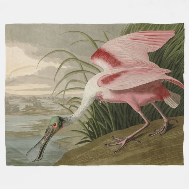 Couverture Polaire Roseate Spoonbill from Audubon's Birds of America (Devant (Horizontal))