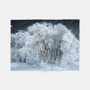 Couverture Polaire Route neigeuse à travers les arbres gelés