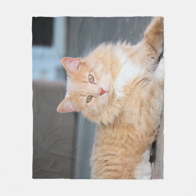 Couverture Polaire Ruffles (Devant)