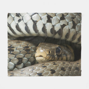 Couverture Polaire Serpent