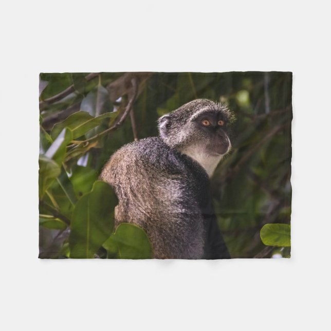Couverture Polaire Singe bleu, Zanzibar (Devant (Horizontal))