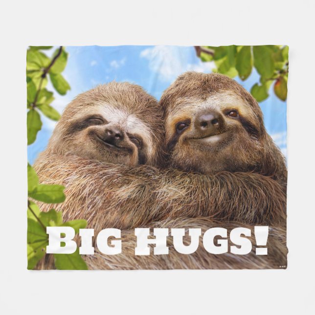 Couverture Polaire Sloth Couple (Devant (Horizontal))