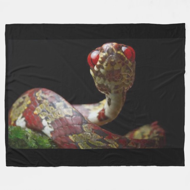 COUVERTURE POLAIRE SNAIL MANGER SNAKE (Devant (Horizontal))