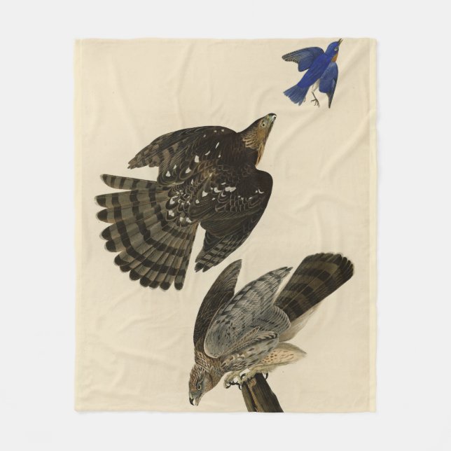 Couverture Polaire Stanley (Cooper's) Hawk Audubon's Birds of America (Devant)