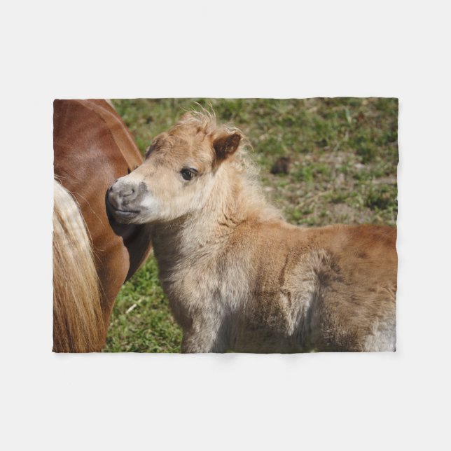 Couverture Polaire Sweet Haflinger Foal (Devant (Horizontal))