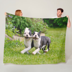 Couverture Polaire Sympa drôles Boston Terrier chiens chiots jouer -